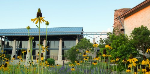 A building with large windows surrounded by vibrant yellow flowers and greenery under a clear sky.