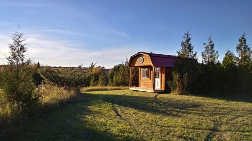 A small wooden cabin with a red roof sits on a grassy area surrounded by trees under a clear blue sky.