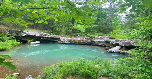 A serene, green forest scene featuring a calm, turquoise pond surrounded by rocks and lush vegetation.