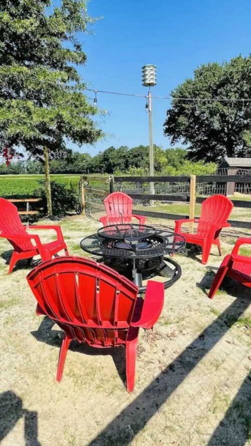 A circle of red Adirondack chairs around a fire pit in a sunny outdoor setting with trees and a fence in the background.