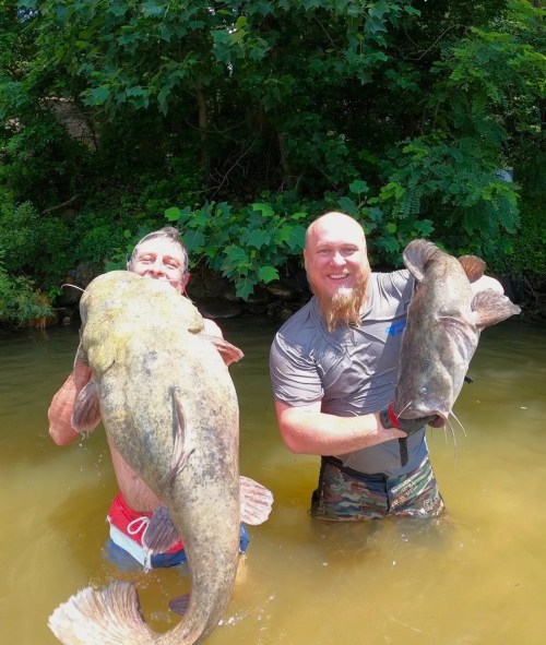 Two men standing in shallow water, each holding a large catfish, with lush greenery in the background.