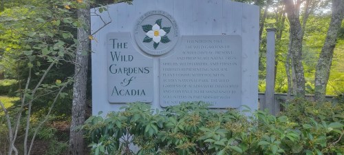 Sign for "The Wild Gardens of Acadia," surrounded by greenery, highlighting its natural beauty and educational purpose.