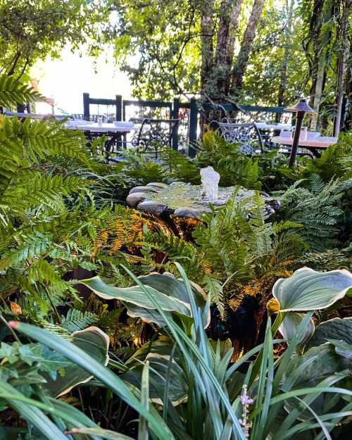 A serene garden scene featuring a small fountain surrounded by lush ferns and greenery, with outdoor seating in the background.