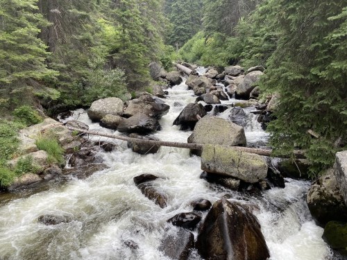 A rushing river flows over large rocks, surrounded by lush green trees in a serene forest setting.