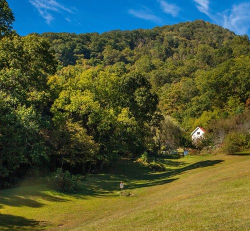 A serene landscape featuring a grassy field, dense trees, and a small house nestled against a mountain backdrop.