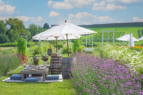 A serene garden scene with a table under an umbrella, surrounded by colorful flowers and green fields in the background.