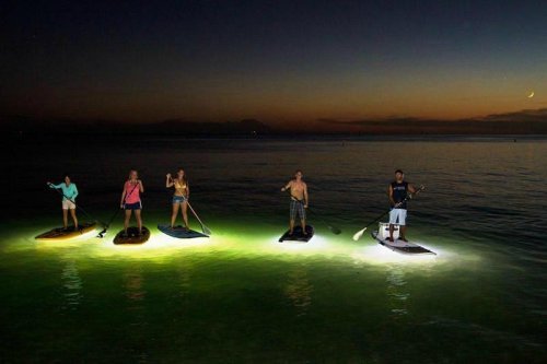 Five people paddleboarding at night, illuminated by glowing water beneath them, with a sunset in the background.