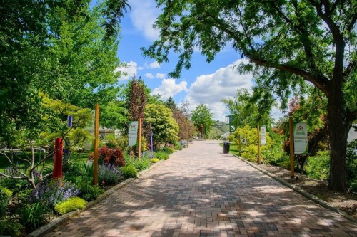 A scenic pathway lined with vibrant greenery and colorful flowers under a bright blue sky with fluffy clouds.