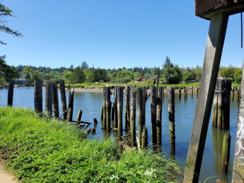A serene river scene with weathered wooden pilings, lush greenery, and clear blue skies in the background.