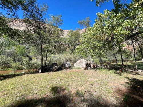 A serene landscape featuring trees, large rocks, and a river, set against a backdrop of rocky hills under a clear blue sky.