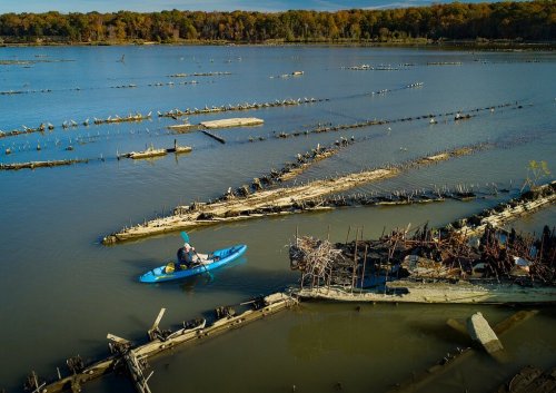 A person in a blue kayak navigates through a calm lake with submerged wooden structures and autumn foliage in the background.