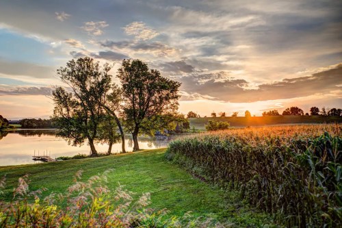 A serene landscape featuring a lake, trees, and a cornfield at sunset, with colorful clouds in the sky.
