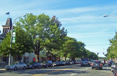 A busy street lined with trees and shops, featuring parked cars and traffic lights under a clear blue sky.