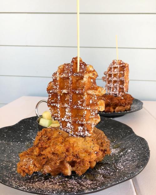 A plate featuring fried chicken topped with a waffle and powdered sugar, garnished with apple slices.