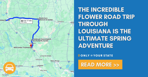 Map showing a road trip route through Louisiana, highlighting flower attractions and a call to action to read more.