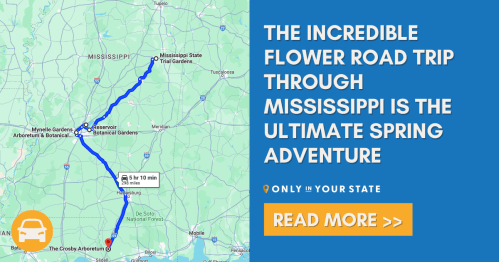 Map showing a flower road trip route through Mississippi, highlighting botanical gardens and spring adventures.
