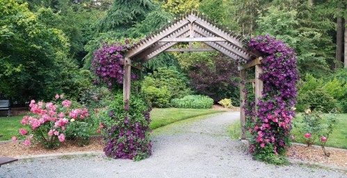 A wooden arch covered in purple flowers, leading to a lush garden with pink roses and greenery.