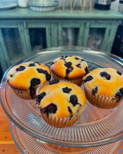 Four freshly baked blueberry muffins on a glass cake stand.