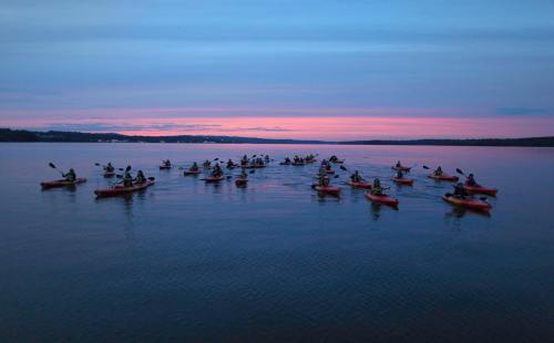 A group of kayakers paddles on a calm lake at sunset, with vibrant pink and purple skies reflecting on the water.