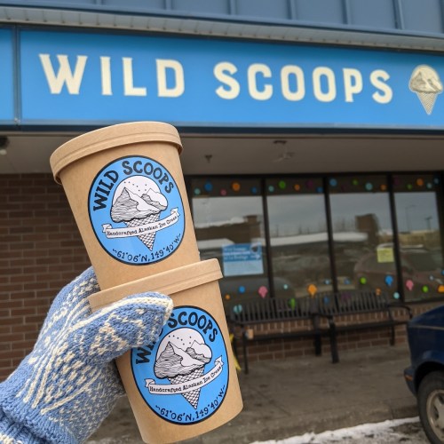 A person in a blue glove holds two ice cream cups outside Wild Scoops, an ice cream shop with a colorful sign.