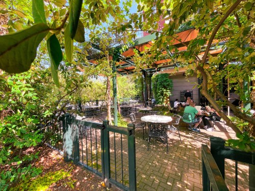A sunny outdoor café with tables surrounded by greenery and people enjoying their time.
