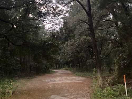 A dirt path winding through a dense, green forest under a cloudy sky.