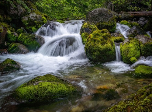 A serene stream flows over moss-covered rocks in a lush, green forest.