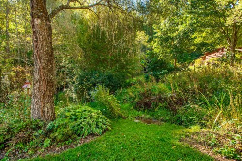 A serene garden scene with a large tree, lush greenery, and a small stream, surrounded by vibrant foliage.