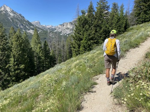A hiker with a yellow backpack walks along a trail surrounded by green trees and mountains under a clear blue sky.
