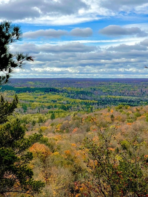 A panoramic view of a colorful forest landscape under a cloudy sky, showcasing autumn foliage and rolling hills.