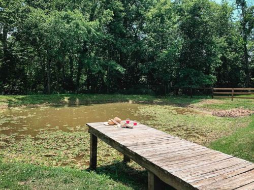 A wooden dock by a small pond surrounded by trees, with sandals and drinks on the dock.