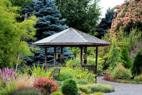 A serene garden scene featuring a wooden gazebo surrounded by vibrant flowers and lush greenery.
