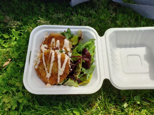A takeout container on grass, featuring a breaded patty on a bed of mixed greens, drizzled with sauce.