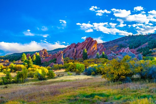 blue flowers and green bushes in front of the mountains on a partly cloudy day