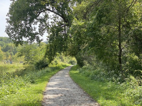 A serene, tree-lined path winding through lush greenery on a sunny day.