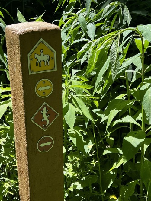 Trail signpost with symbols for hiking, biking, and wildlife, surrounded by lush green foliage.