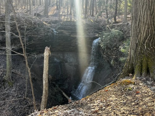 A serene forest scene featuring a waterfall cascading into a rocky gorge, illuminated by sunlight filtering through trees.