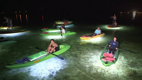 Kayakers paddling at night, illuminated by lights in the water, creating a vibrant scene on a calm lake.