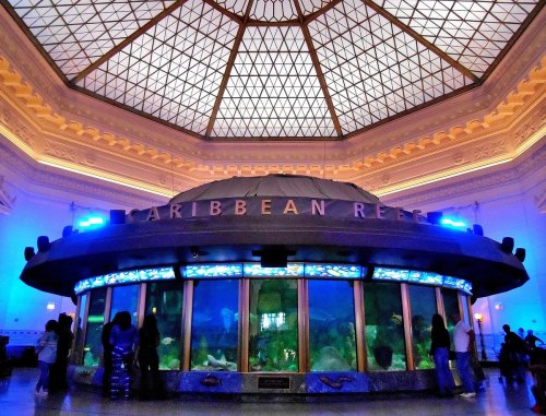 A large aquarium exhibit titled "Caribbean Reef" under a glass dome, with visitors observing colorful marine life.