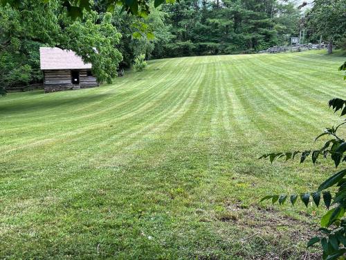 A grassy field with neatly mowed stripes, featuring a small log cabin surrounded by trees.