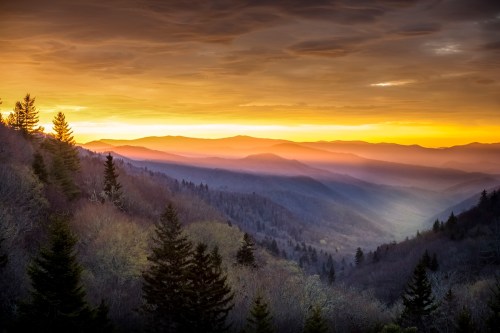 A breathtaking sunset over misty mountains, with layers of trees silhouetted against a colorful sky.