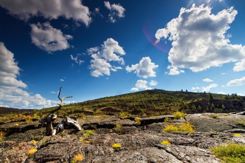 A rocky landscape under a bright blue sky with fluffy clouds, featuring a lone tree and scattered greenery.