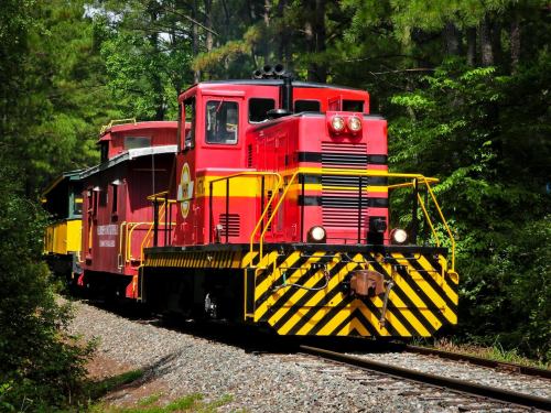 A bright red train engine with a yellow caboose on a tree-lined track, surrounded by lush greenery.