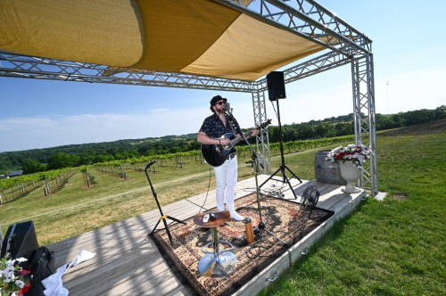 A musician performs on stage at a vineyard, surrounded by lush greenery and a clear blue sky.