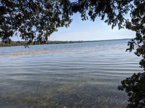 A serene lake view framed by tree branches, with gentle ripples on the water and a clear blue sky above.