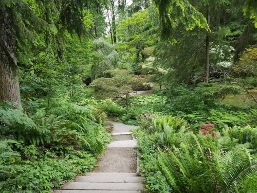 A serene garden path winding through lush greenery and ferns, surrounded by trees and vibrant foliage.