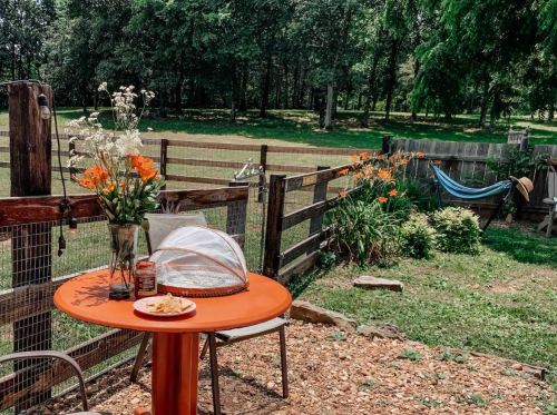 A vibrant outdoor table with flowers and a covered dish, surrounded by a grassy area and a wooden fence.