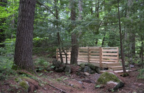 A wooden bridge surrounded by lush green trees and rocky terrain in a serene forest setting.