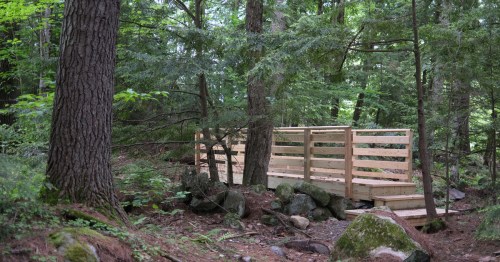 A wooden bridge surrounded by trees and rocks in a lush forest setting.