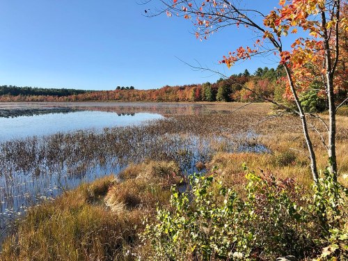 A serene lake surrounded by autumn foliage, with colorful trees reflecting in the water under a clear blue sky.